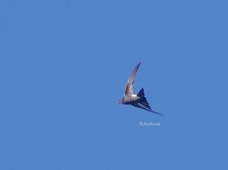 2013-09-21_272.jpg