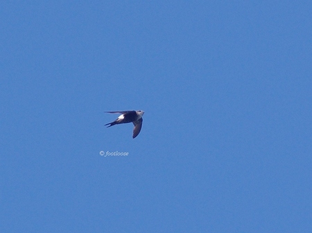2013-09-21_288.jpg