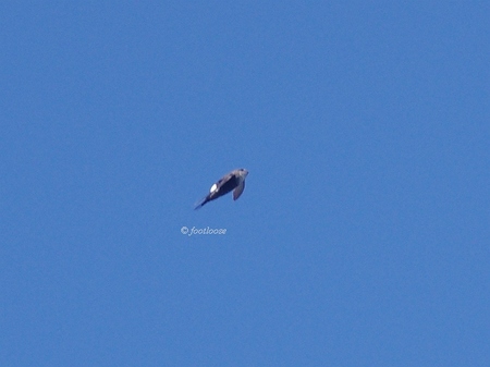 2013-09-21_290.jpg