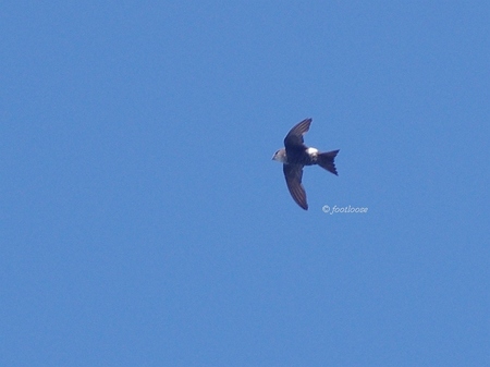 2013-09-21_300.jpg