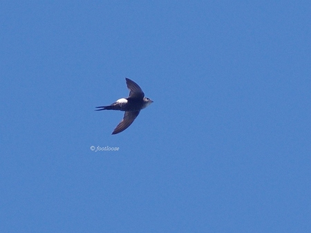 2013-09-21_318.jpg