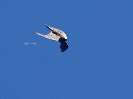 2013-09-27_080.jpg