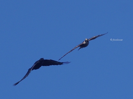 2013-09-27_101.jpg