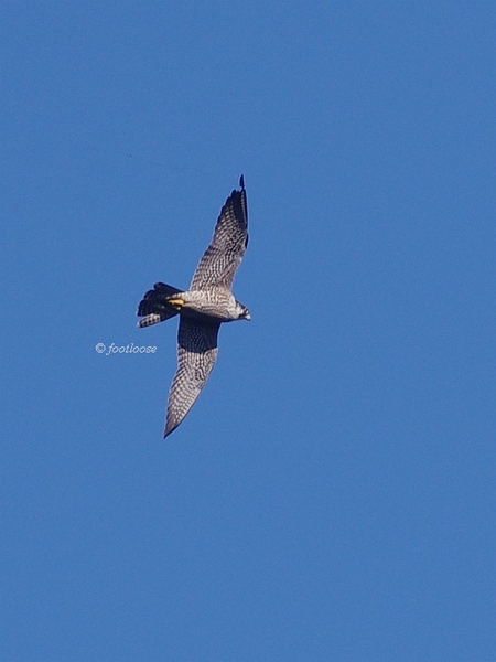 2013-09-27_136.jpg