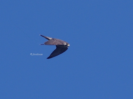 2013-09-27_163.jpg