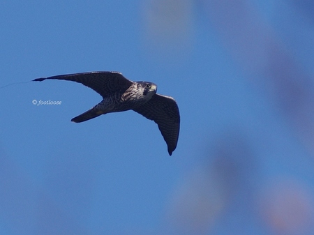 2013-09-27_182.jpg