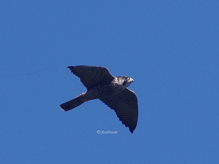 2013-09-27_200.jpg