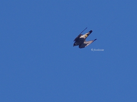 2013-09-27_255.jpg