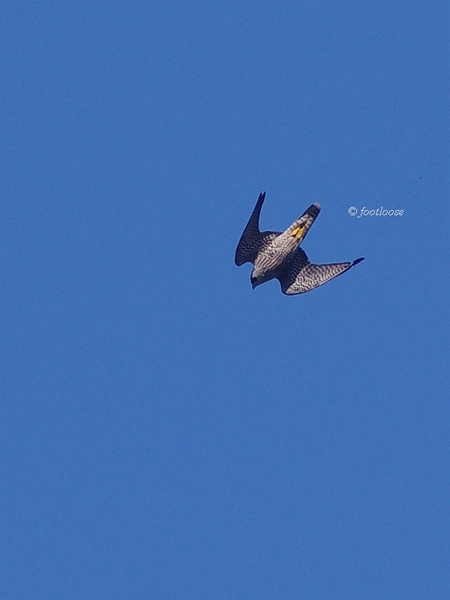 2013-09-27_257.jpg