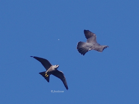 2013-09-27_291.jpg