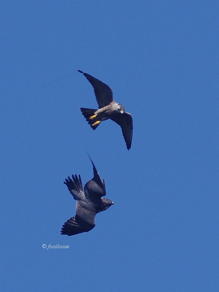 2013-09-27_293.jpg