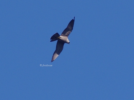 2013-09-27_299.jpg
