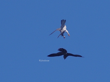 2013-09-27_301.jpg