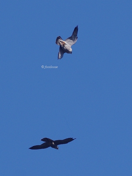 2013-09-27_303.jpg