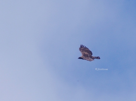 2013-09-28_330.jpg