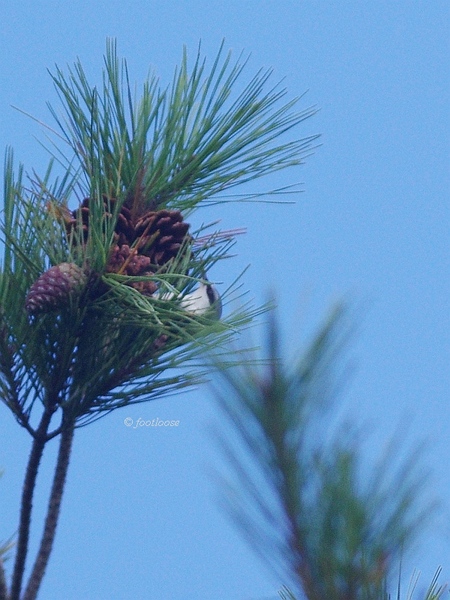 2013-09-28_397.jpg