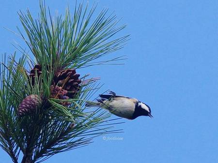 2013-09-28_446.jpg
