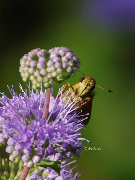 2013-10-03_079.jpg