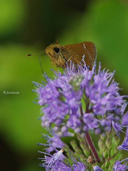 2013-10-03_186.jpg