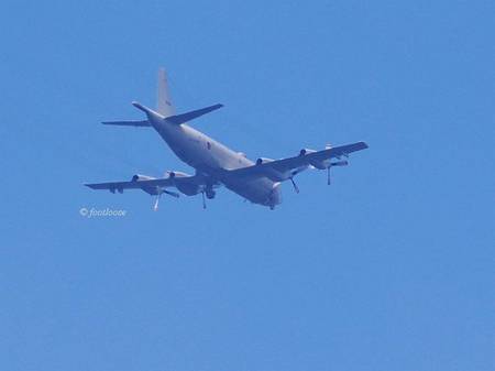 2013-10-04_048.jpg