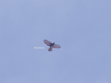 2013-10-04_073.jpg