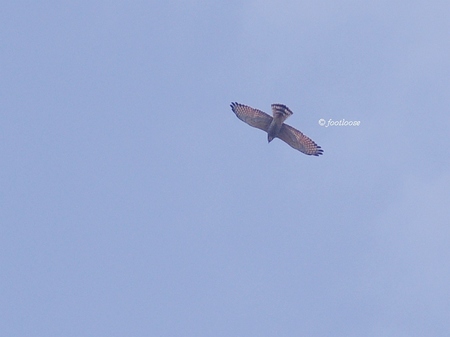 2013-10-04_084.jpg