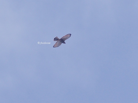 2013-10-04_087.jpg