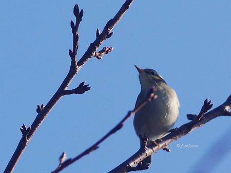 2013-10-12_159.jpg