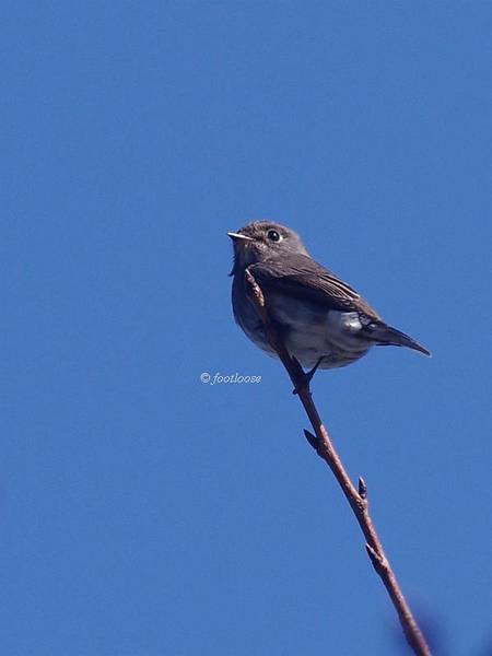 2013-10-12_274.jpg