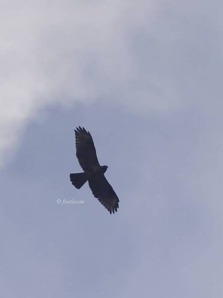 2013-10-15_051.jpg