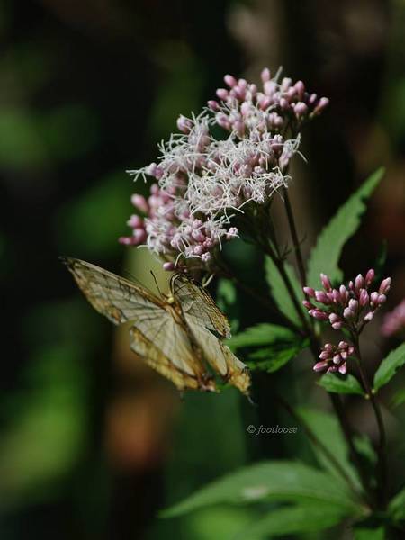 2013-10-21_025.jpg