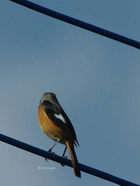 2013-10-21_026.jpg