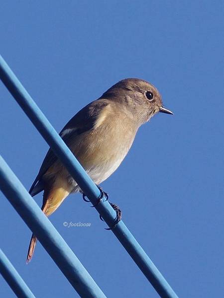 2013-10-27_018.jpg