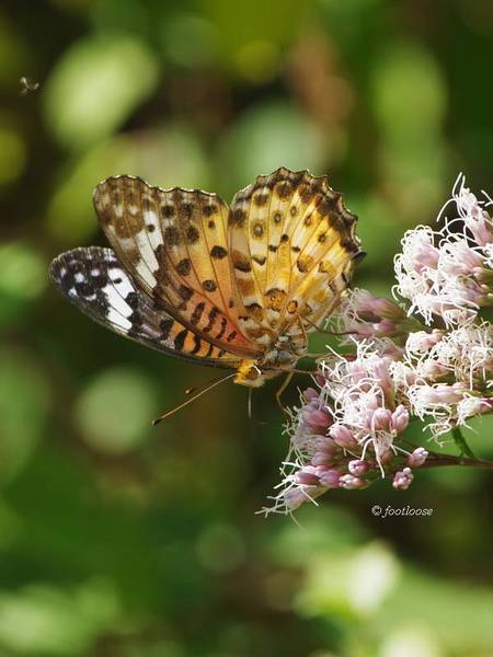 2013-10-27_090.jpg
