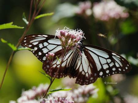 2013-10-27_152.jpg