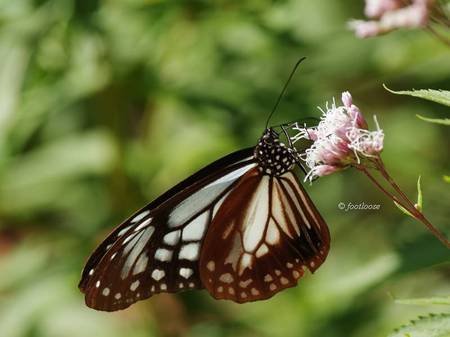2013-10-27_165.jpg