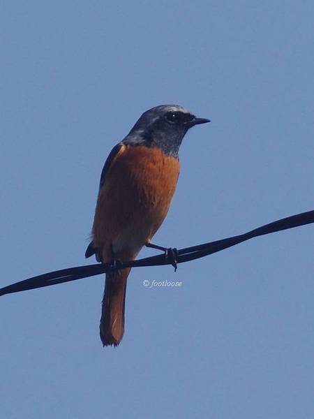 2013-10-30_473.jpg