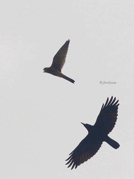 2013-11-09_170.jpg