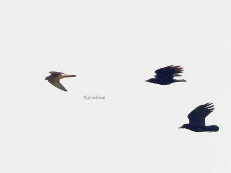 2013-11-09_339.jpg