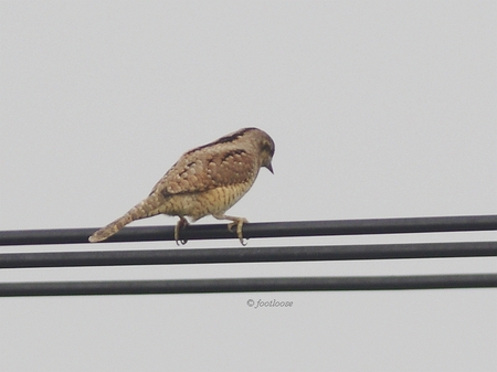2013-11-09_469.jpg