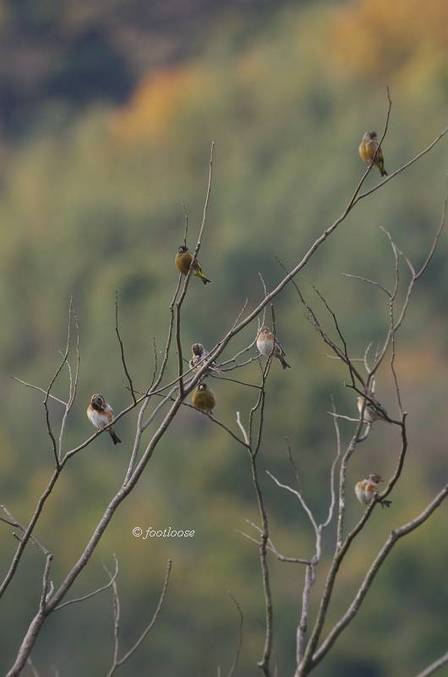 2013-11-30_361.jpg