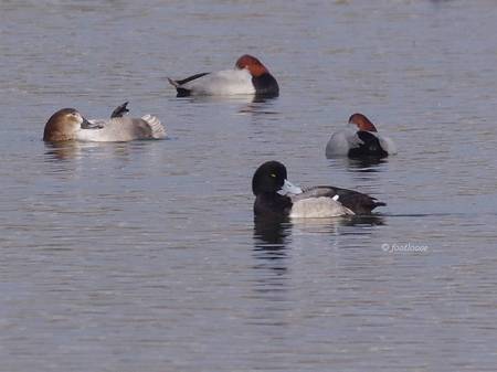 2013-12-01_682.jpg