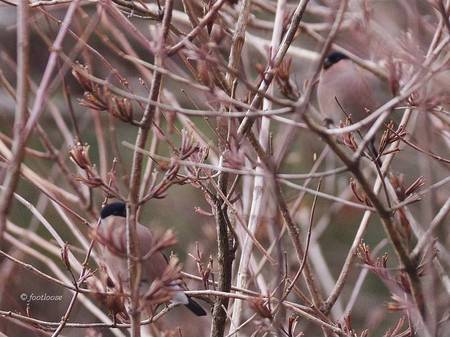 2013-12-14_294.jpg