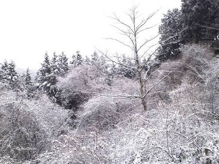 2013-12-21_050.jpg